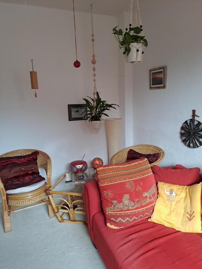 African Dream Oldenbourg Extérieur photo